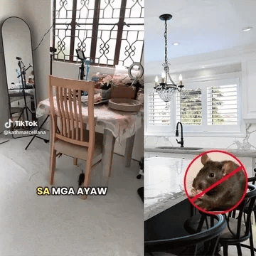 Nyvvo - Rat Repellent Spray For Car and Home